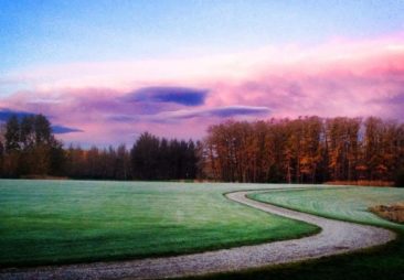 hole 5 - tooth of the dog pound